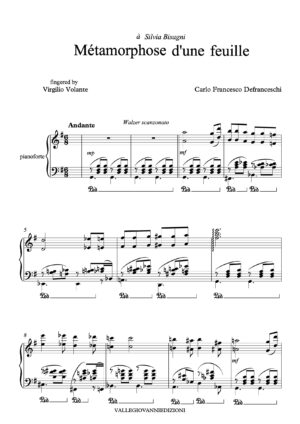 Métamorphose d'une feuille