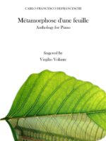 Métamorphose d'une feuille
