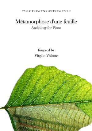 Métamorphose d'une feuille