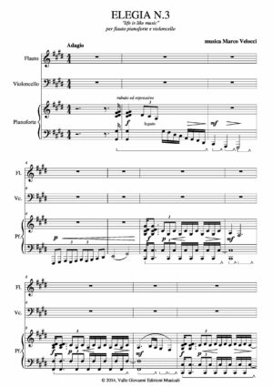 Elegia N.3