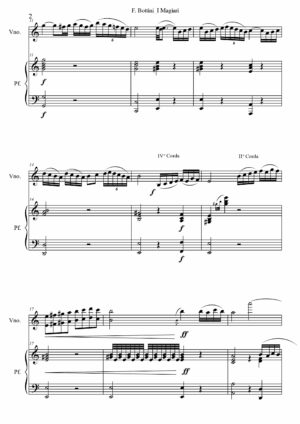 I Magiari - Fausto Bottini
