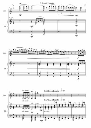 I Magiari - Fausto Bottini