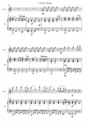 I Magiari - Fausto Bottini