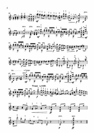 12 Capricci da concerto