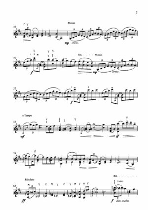 12 Capricci da concerto