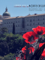 I papaveri rossi di Montecassino