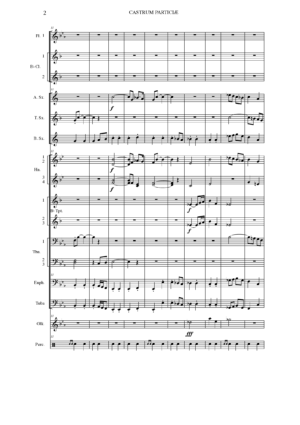 CASTRUM PATRICIÆ