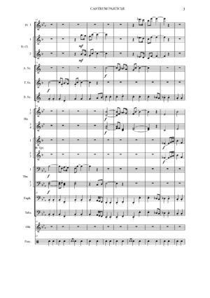 CASTRUM PATRICIÆ