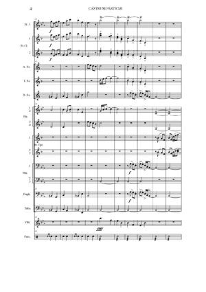 CASTRUM PATRICIÆ