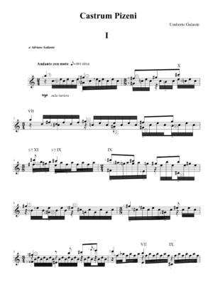 Castrum Pizeni